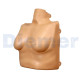 Piel Pecho Female Skin